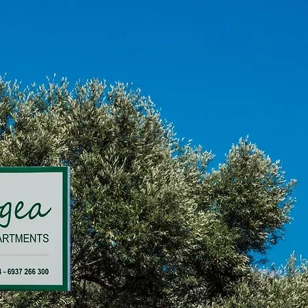 Lefkogea Villas&apartments Tsoukaládhes