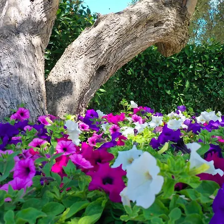 Lefkogea Villas&apartments Tsoukaládhes